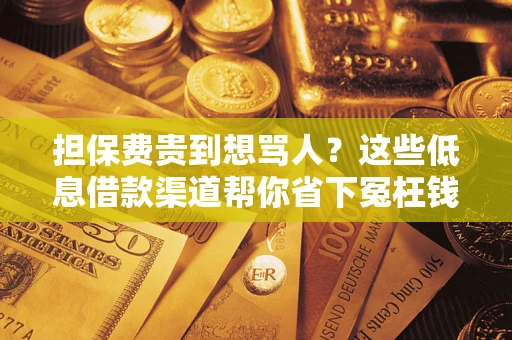 济南担保费贵到想骂人？这些低息借款渠道帮你省下冤枉钱