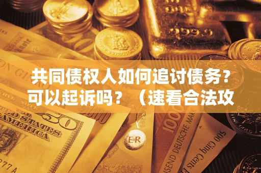 济南共同债权人如何追讨债务？可以起诉吗？（速看合法攻略）